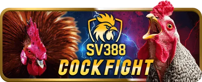 Chương trình VIP b66 app
